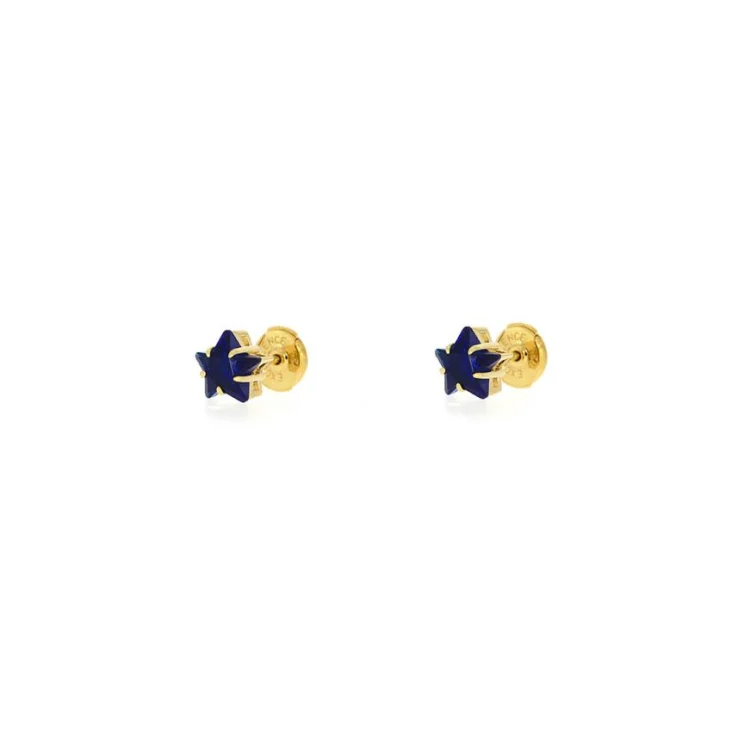 Puces d'oreilles étoiles Excellence