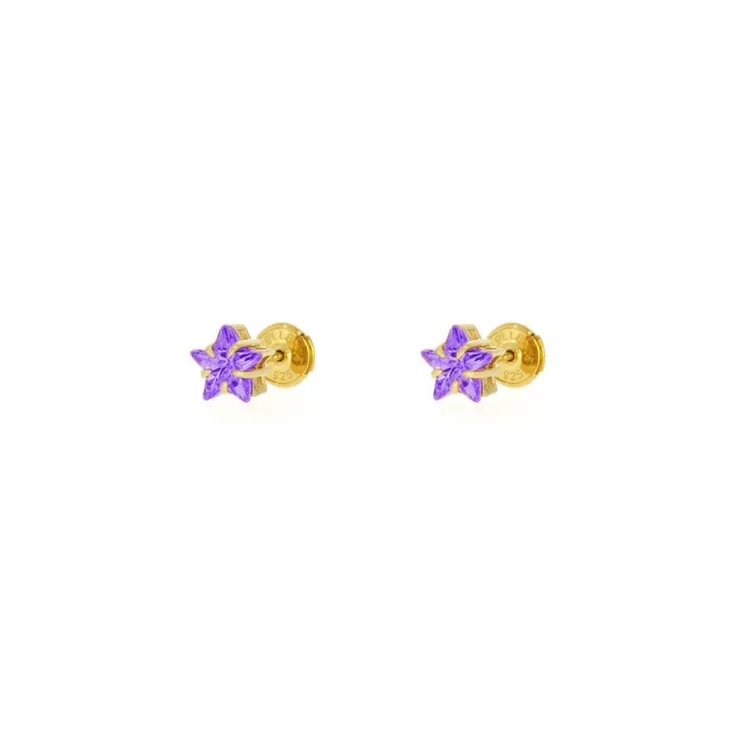 Puces d'Oreilles étoiles Excellence