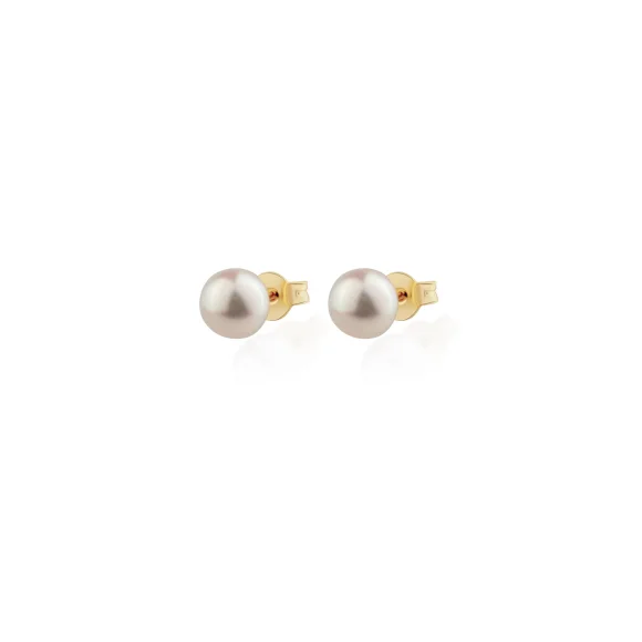 Puces D'Oreilles Excellence Or jaune 750/1000 & FWP