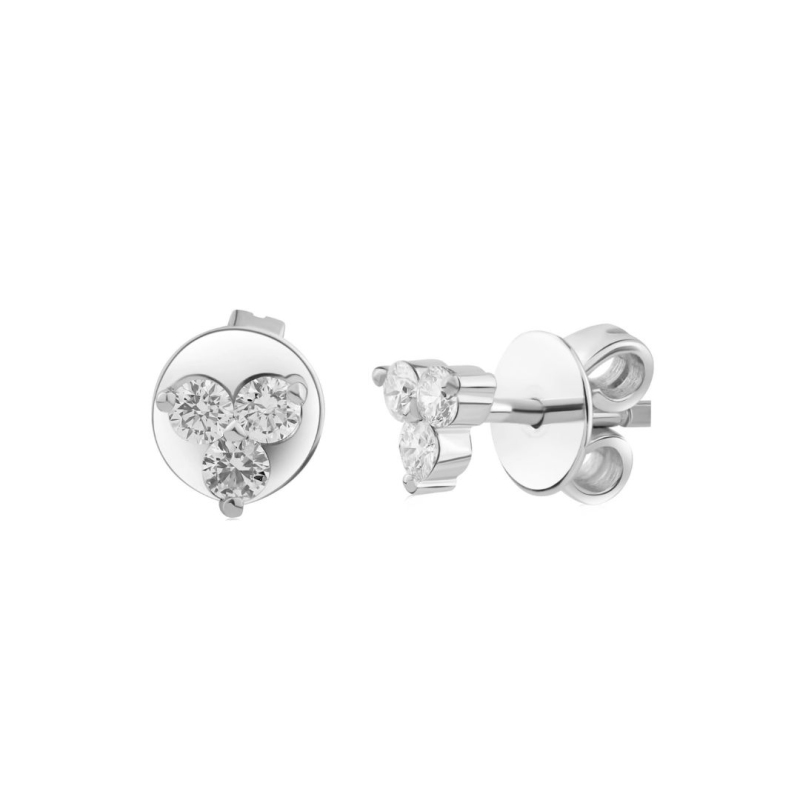 Puces d'oreilles