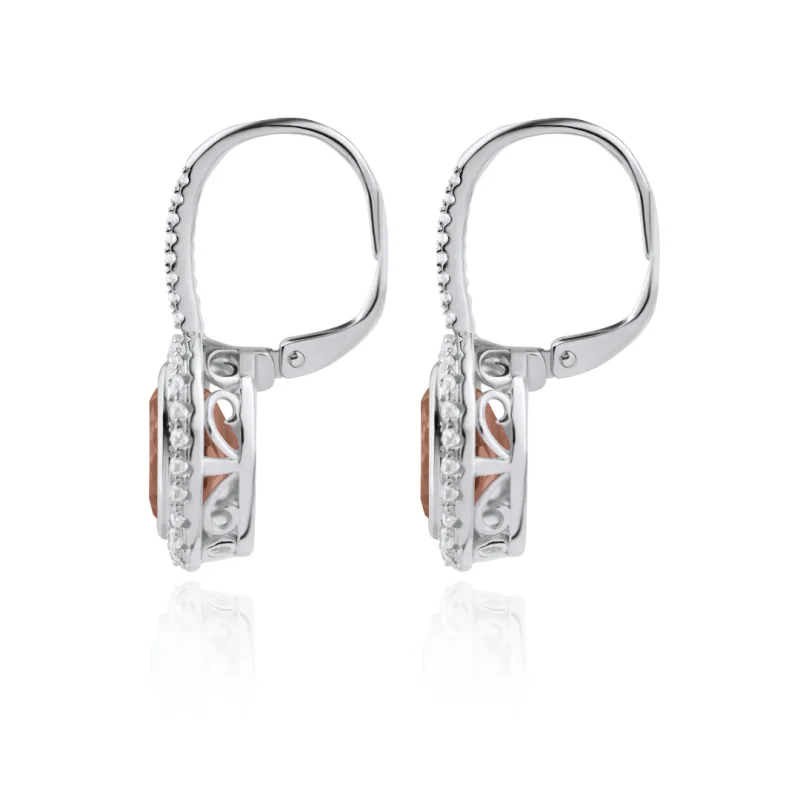 Boucles dormeuses en Argent