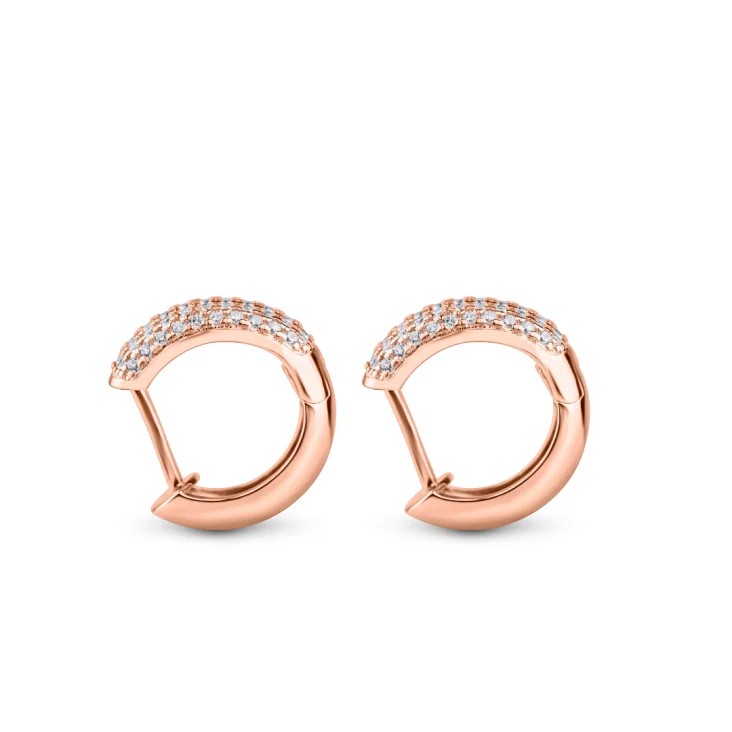 Boucles Excellence en Argent 2