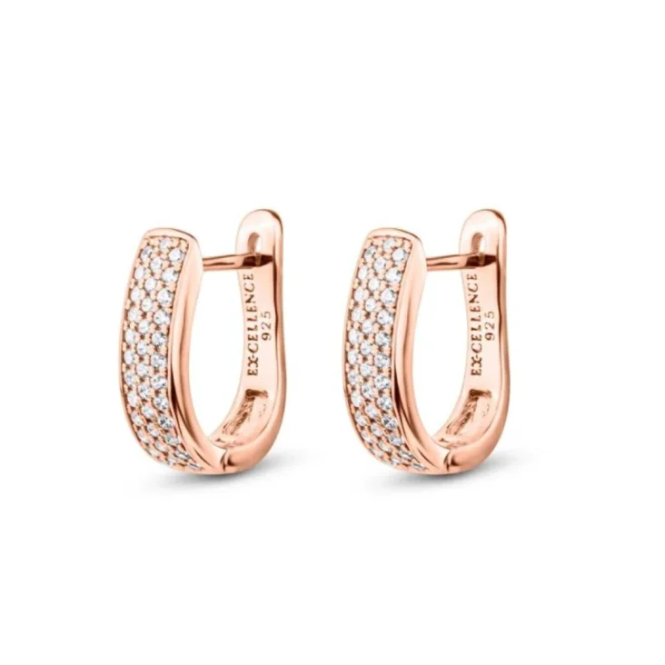 Boucles Excellence en Argent