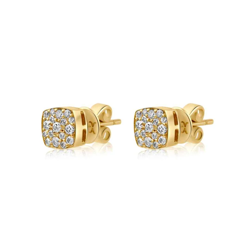 Puces d'oreilles Excellence Or jaune...