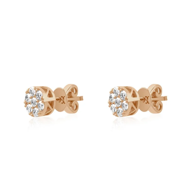 Puces d'oreilles marguerite...