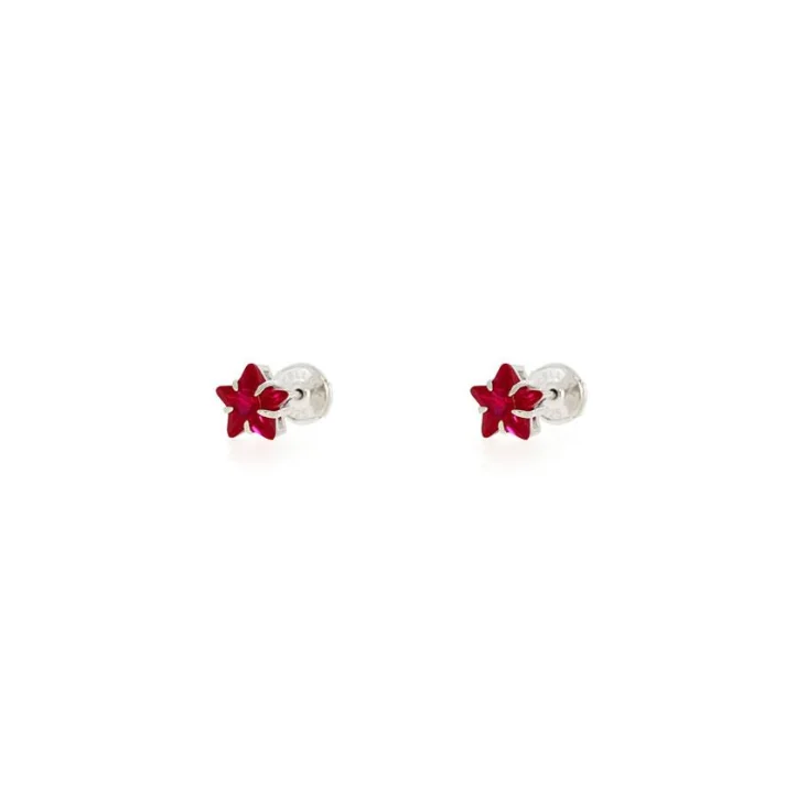 Puces d'oreilles étoiles